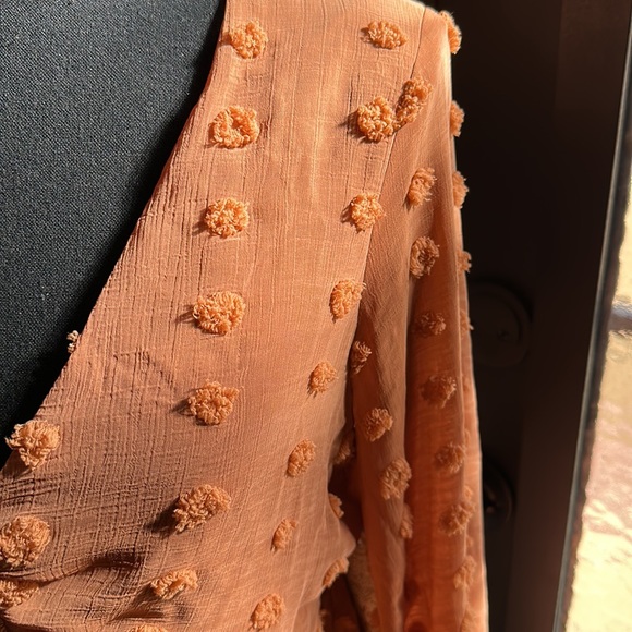 Altar’d State Crop Bell Sleeve Swiss Dot Blouse Sz. S - Picture 3 of 7